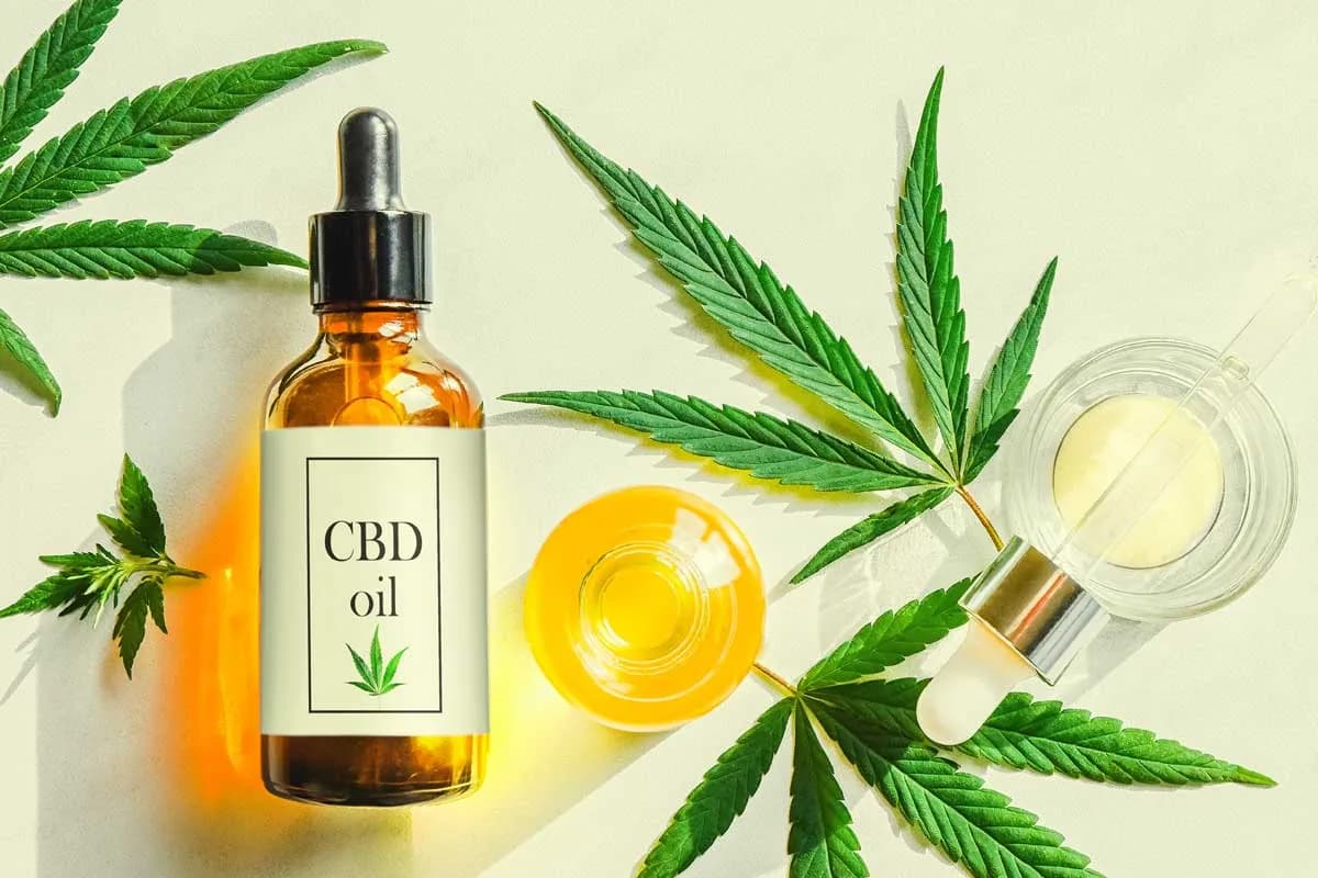 Cannabis Öl pressen und verfeinern – Tipps von Cbdladen