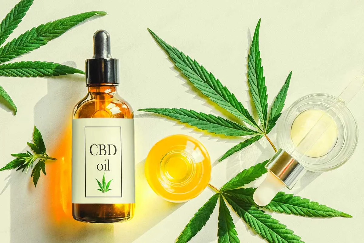 Cannabis Öl pressen und verfeinern – Tipps von Cbdladen