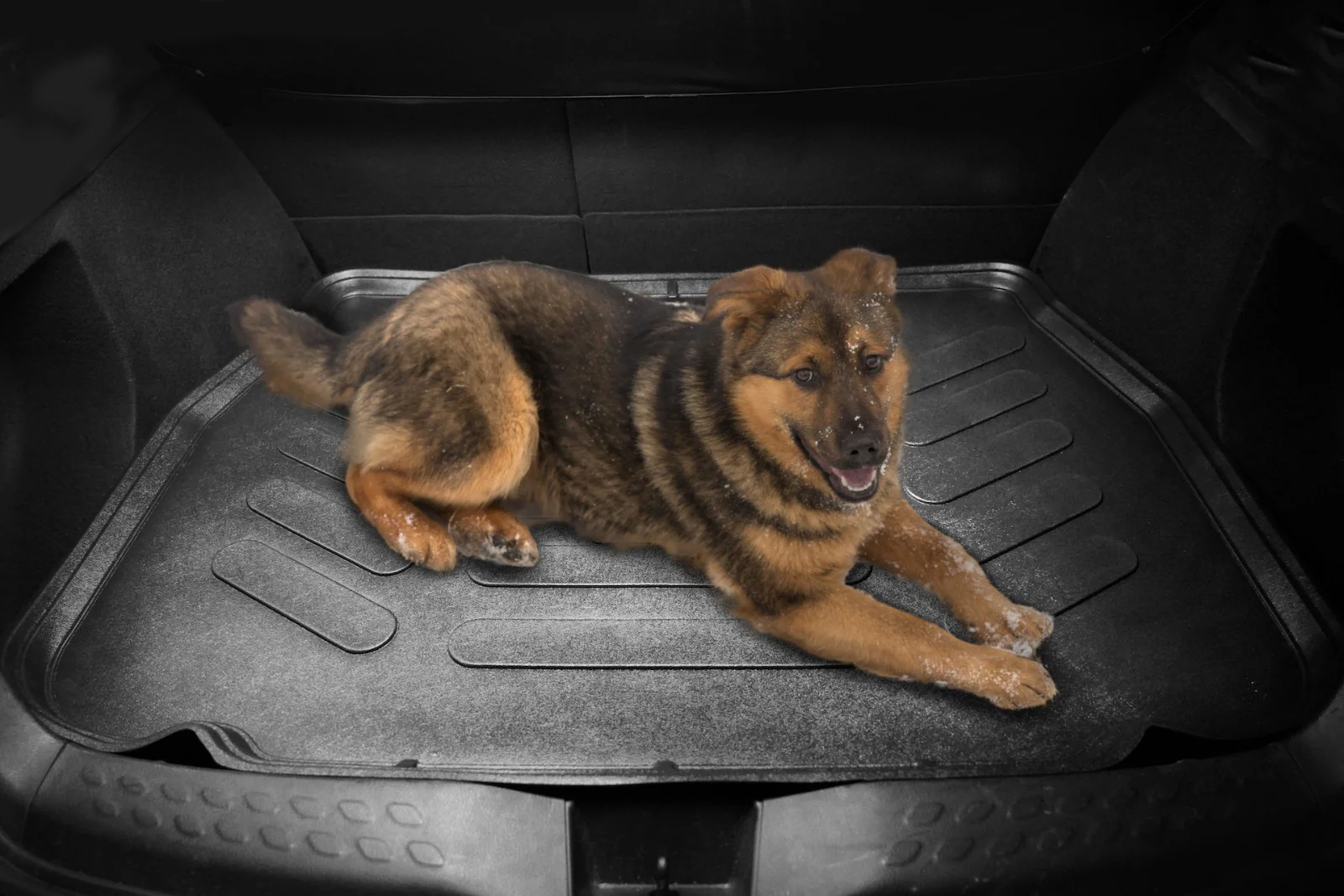 Die besten Auto Fußmatten Gummi für den VW Tiguan im 3D-Design